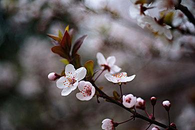 《如龙：极3 & Dark Ties》新预告 展示峰义孝战斗